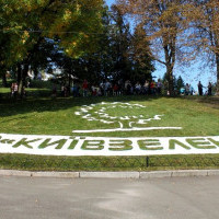 “Киевзеленстрой” потратит 57 млн бюджетных гривен на реконструкцию только что отремонтированных парков