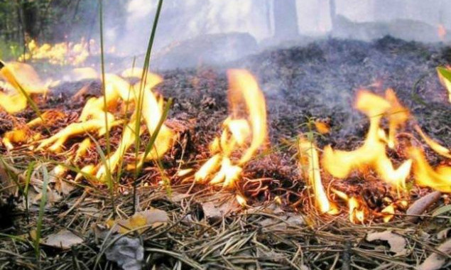 До 23 октября в Киеве сохранится высокая пожароопасность
