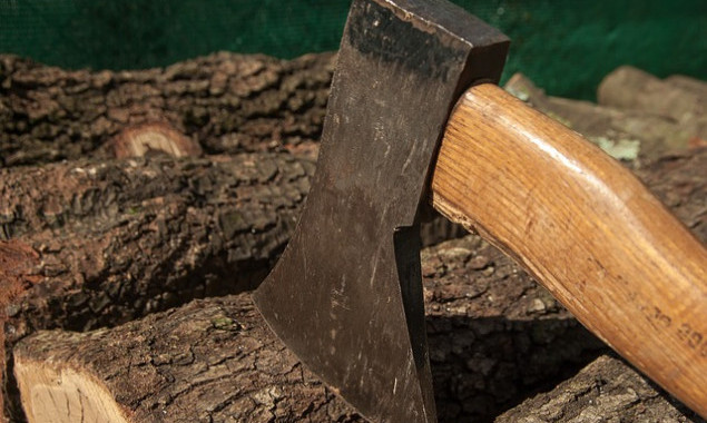 Двое мужчин незаконно вырубили лес в Переяслав-Хмельницком районе на полмиллиона гривен