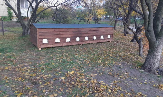 Жители Дарницкого района Киева построили коттедж для бездомных котов (фото)