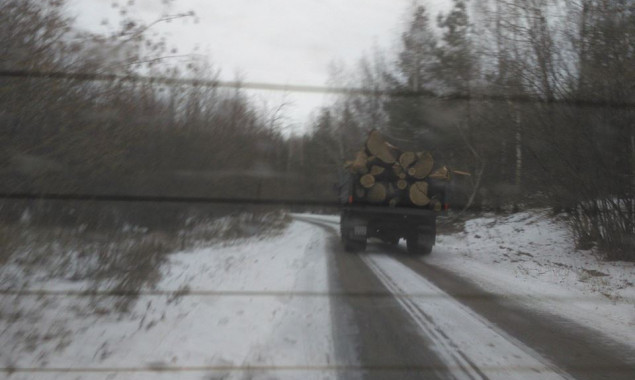 За время президентства Порошенко в национальном парке “Белоозерский” вырублено 200 га леса – экологи (фото)