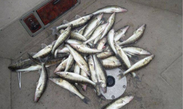 Киевский рыбоохранный патруль за 4 дня обнаружил 19 нарушений на зимовальных ямах (фото)