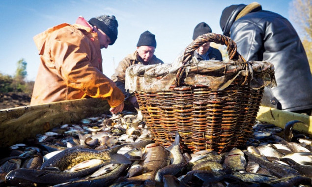 Законодательство не определяет, каким должен быть рыбоприемный пункт