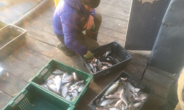 На Киевщине промысловик незаконно выловил рыбы почти на 130 тысяч гривен