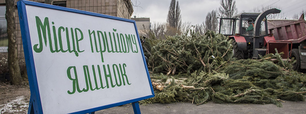 Год назад жители Киева сдали на утилизацию около 10 тысяч елок