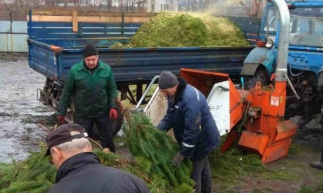 Киевляне не торопятся нести елки на утилизацию
