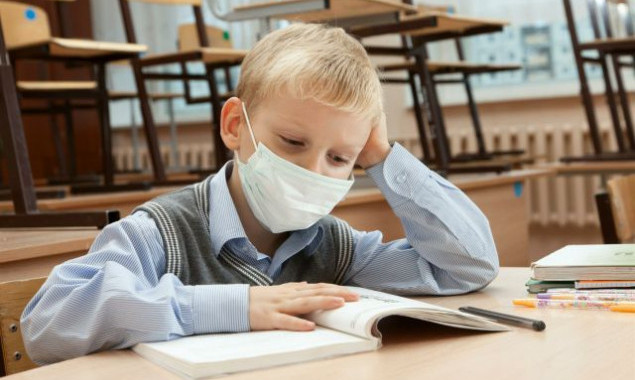 Из-за гриппа в Киеве приостановлен образовательный процесс в 36 школах