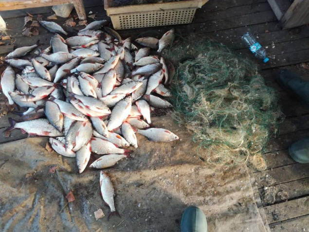 Киевский рыбоохранный патруль на Крещение на Киевском водохранилище поймал двух браконьеров с 25 кг рыбы