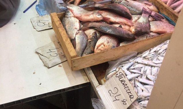 Киевский рыбоохранный патруль изъял на рынках Святошинского района 50 кг рыбы