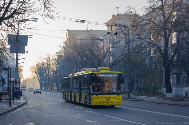 Общественный транспорт в Киеве работает с перебоями из-за упавших на проезжую часть деревьев