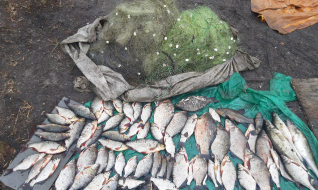 На Киевском водохранилище нарушители нанесли ущерб рыбному хозяйству на сумму более 12 тысяч гривен
