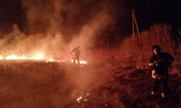 Более 100 пожаров травы ликвидировали за сутки спасатели на Киевщине