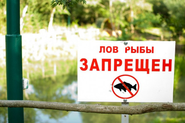 На Киевщине в нерестовый период проведут рыбоохранные рейды