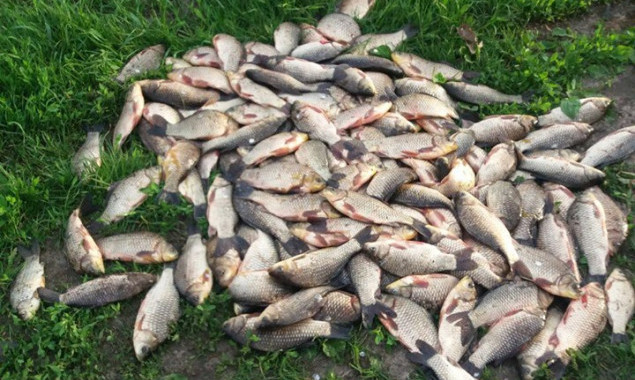Киевский рыбоохранный патруль за неделю изъял у браконьеров 38 кг биоресурсов