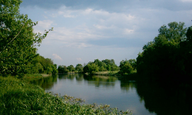 Попадание химикатов в реку Рось: экспресс-пробы 9 июня не показали загрязнений на границе с Киевской областью