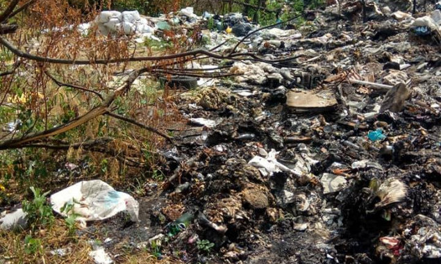 Берег залива Десны на Радужном массиве в Киеве завален мусором - соцсети (фото)