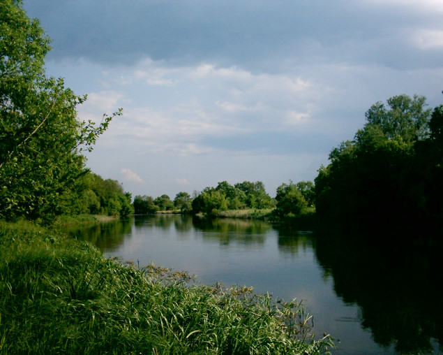 Власти Киевщины решили ограничить вылов рыбы в реке Рось до 21 июня (документ)