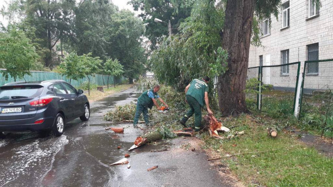 “Киевзеленстрой” до сих пор не обработал все вызовы, связанные с ураганом на прошлой неделе (фото)