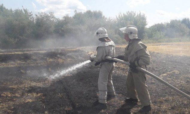 На Киевщине с 6 по 8 августа местами ожидается чрезвычайный уровень пожароопасности