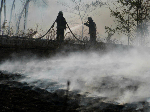 За сутки в Киеве ликвидировано 13 возгораний травы и торфа, в Киевской области - 71 (фото)