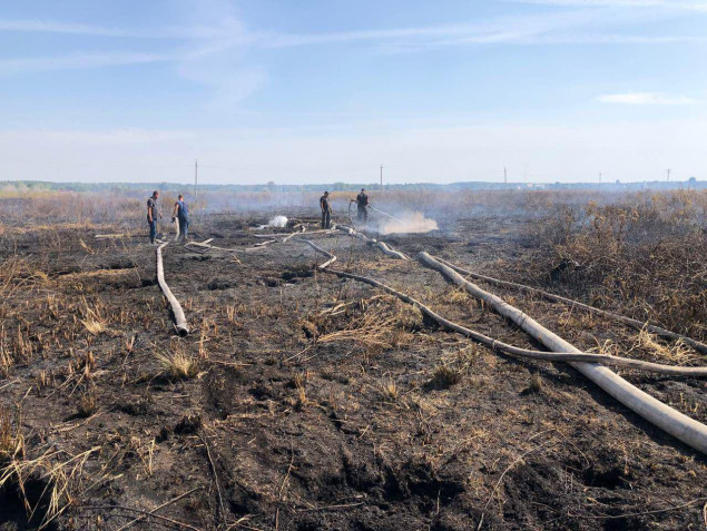 За месяц количество случаев возгорания травы, торфа и лесов на Киевщине выросло почти в 7 раз (фото)