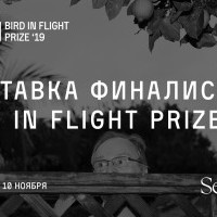В Киеве проведут выставку финалистов Bird in Flight Prize 2019