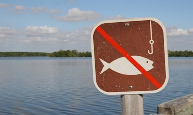 С 1 ноября на Киевщине вводится запрет на вылов рыбы в зимовальных ямах