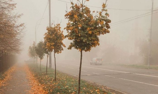 Ночью и утром 28 ноября в столице ожидается сильный туман