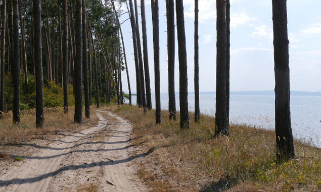 Прокуратура добивается разрыва договора на аренду земли на побережье Каневского водохранилища