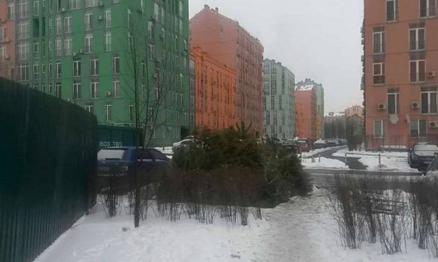 В Киеве организовали 15 пунктов приема новогодних елок (список адресов)