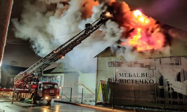 Почти полсотни спасателей ликвидировали масштабный пожар на околице Киева (фото, видео)