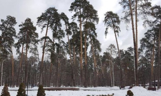 Столичным властям предлагают создать заповедную зону в Дарницком лесопарке