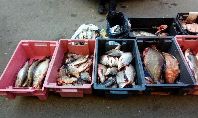 Киевский рыбоохранный патруль в январе изъял у нарушителей более 1,5 тонн водных биоресурсов