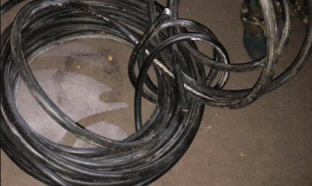 Правоохранители задержали на столичном Гидропарке воров кабелей “Укртелекома”