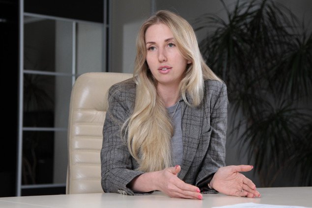 Елена Костенко: обязанность ГАСИ способствовать привлечению инвестиций в экономику страны