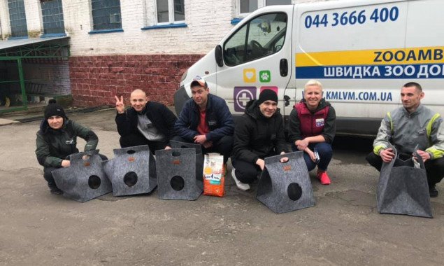 Заключенных из колонии на Киевщине будут адаптировать с помощью бездомных котов (фото)