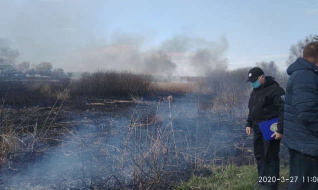Жительницу Тетиева на Киевщине уличили в поджоге сухого камыша