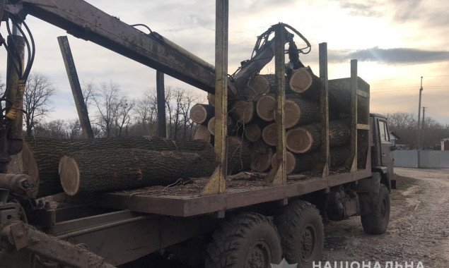Полиция в Переяслав-Хмельницком районе задержали грузовик с незаконно спиленной древесиной (фото)
