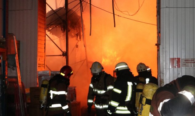 На прошлой неделе спасатели Киева ликвидировали более 200 пожаров