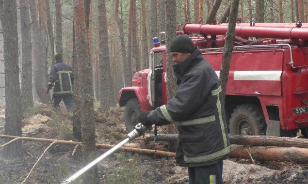 ГСЧС заявляет о постепенной нормализации ситуации с лесными пожарами в Чернобыльской зоне