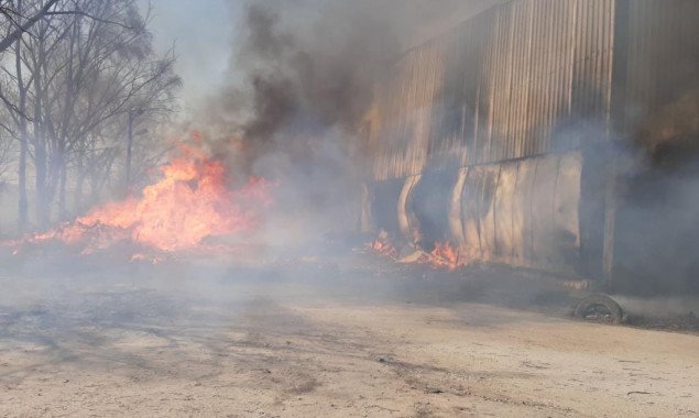 В Броварах из-за подпала травяного настила произошел пожар на овощехранилище (фото, видео)
