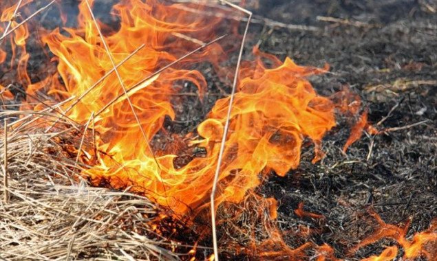 На минувшей неделе столичные спасатели 47 раз выезжали на тушение пожаров в экосистемах города