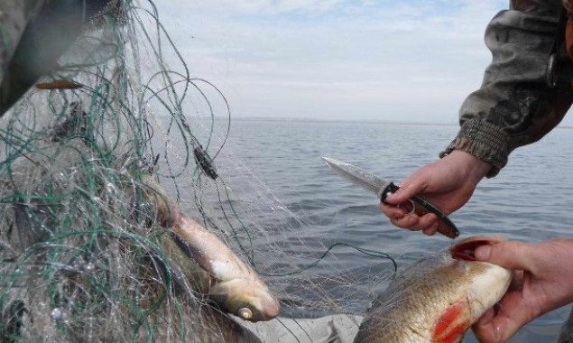 Киевский рыбоохранный патруль в марте выявил 201 нарушение и конфисковал почти 10 км сетей