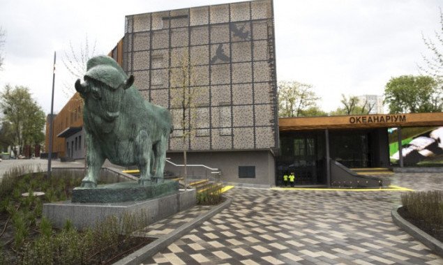 В Киевском зоопарке установили новую бронзовую статую зубра (видео)