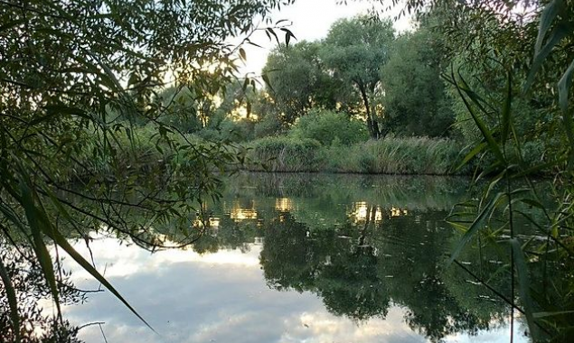 Киевляне предлагают Киевсовету вместо застройки Совских прудов создать там региональный ландшафтный парк