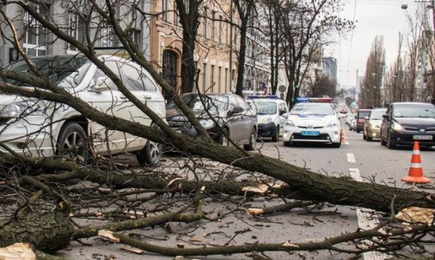 Сегодня в Киеве ожидаются сильные порывы ветра