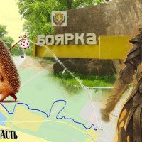 Проєкт “Децентралізація”: на Київщині через недобровільність об’єднання знову судяться Боярка і Забір’я