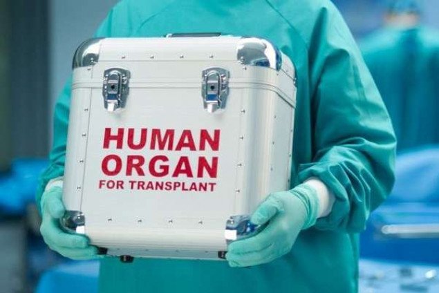 Кабмин утвердил тарифы на трансплантацию человеческих органов