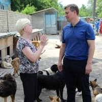 Катеринчук под прикрытием котов и собак хочет заменить Кличко