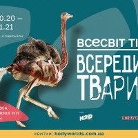 В Киеве покажут выставку тел настоящих животных